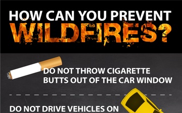 How Can You Prevent Wildfires?