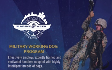 Marine Corps Working Dog Program