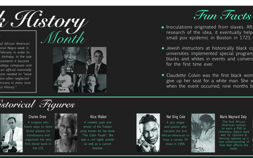 Black History Month Infographic