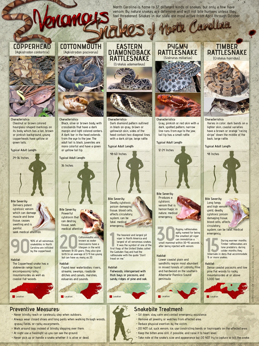 North Carolina Venomous Snakes