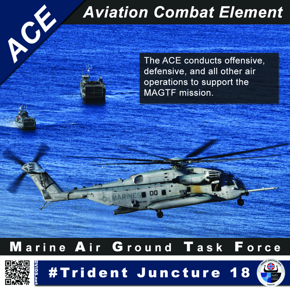 MAGTF ACE Graphic
