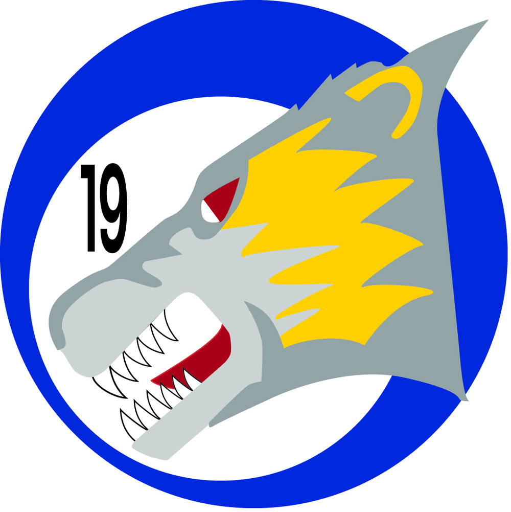 USAFA Squadron patch for Cadet Squadron 19