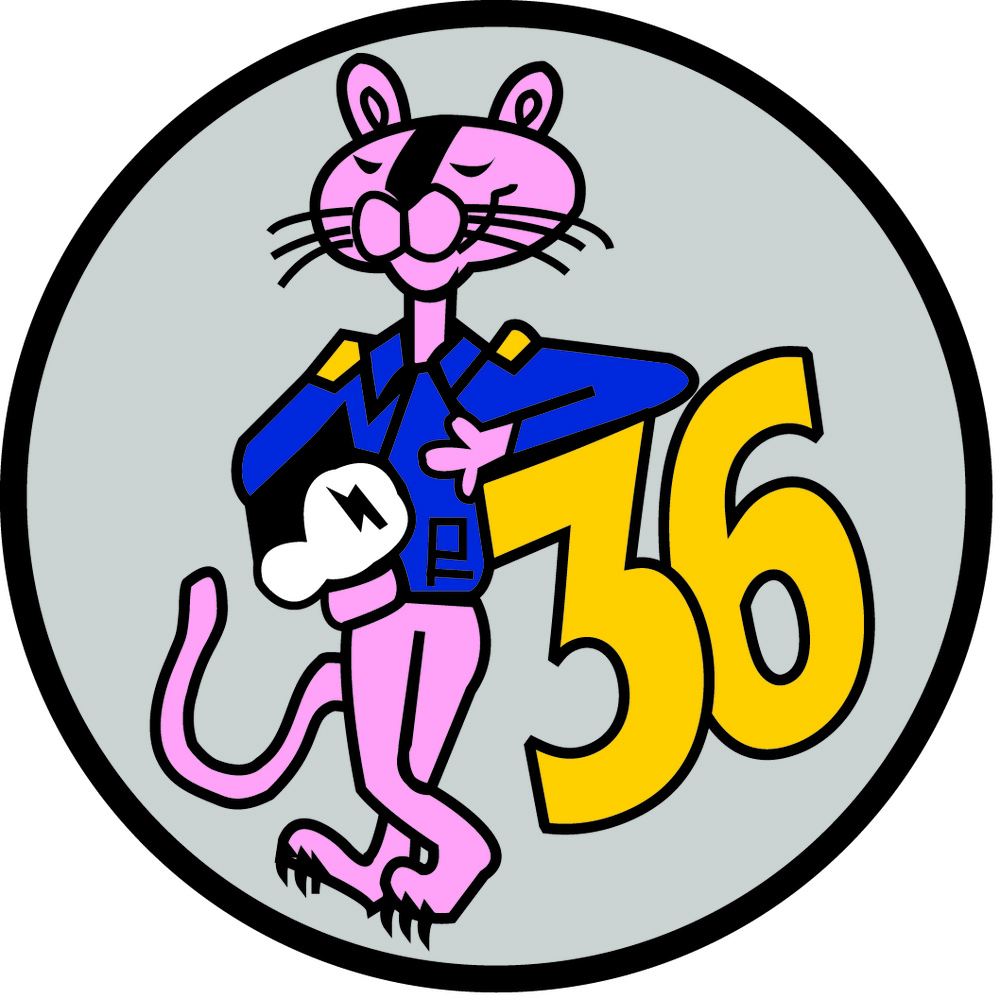 USAFA Cadet Squadron Patch for Squadron 36