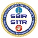 2019 SBIR Logo