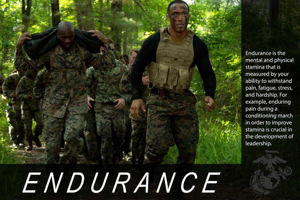 Leadership Trait: Endurance