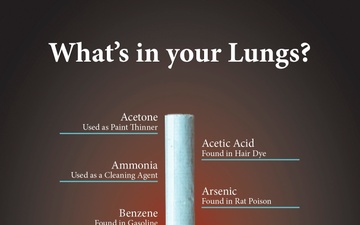 What&amp;#39;s in your Lungs?