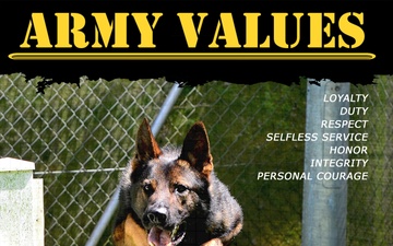 Army Values