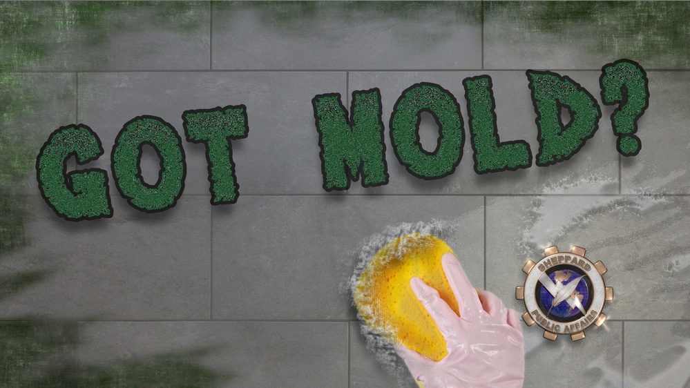 Got Mold? Header