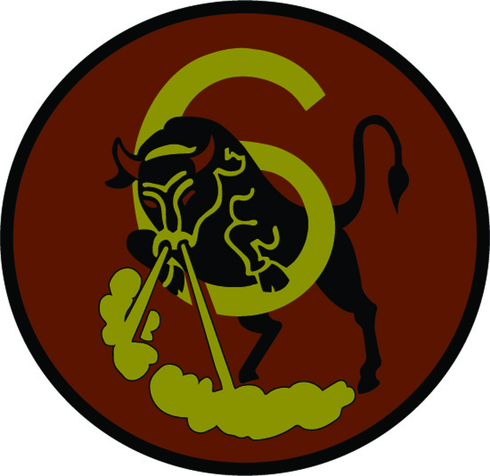 Cadet Squadron Patch