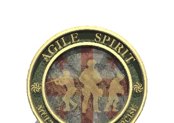 Agile Spirit 3D Coin Model