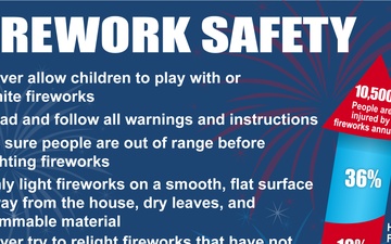 101 Days of Summer - Fireworks Safety