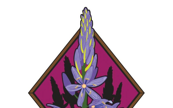 Cities of Honor nose art graphic