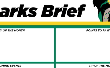 Barks Brief Template