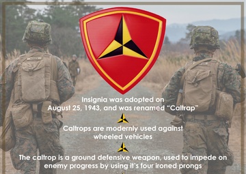 3d Marine Division Anniversary