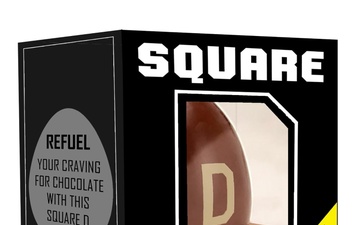 Square D Easter egg