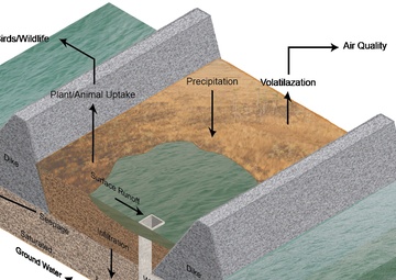 Dike Cross Section