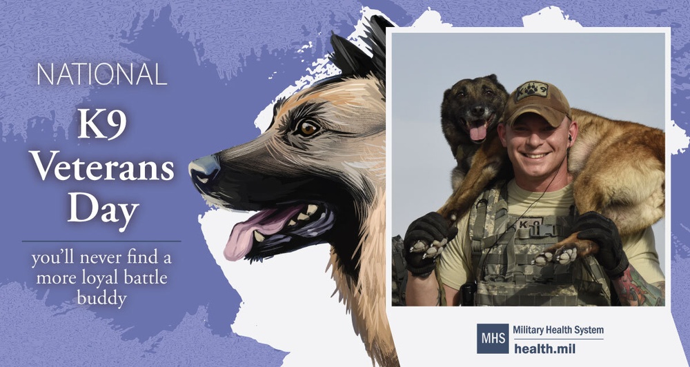 K9 Veterans Day AirForce