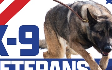 K-9 Veterans Day - March 13