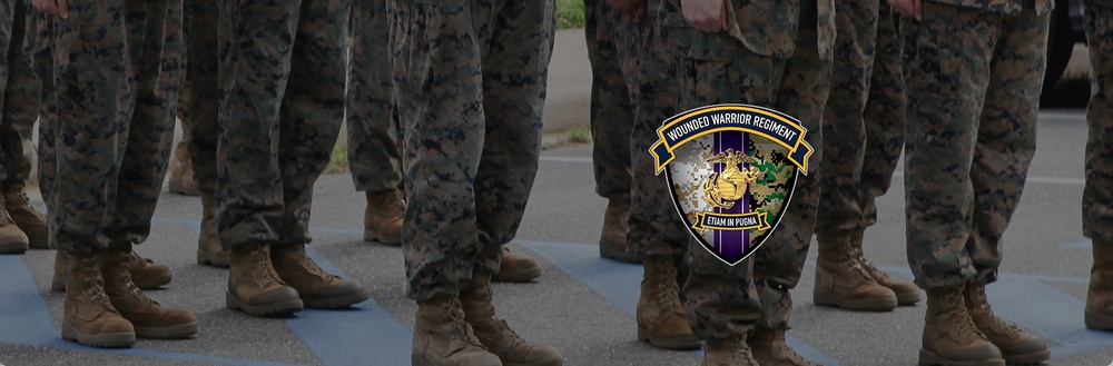 Wounded Warrior Regiment Hero Banner Formation