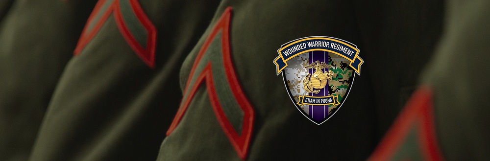 Wounded Warrior Regiment Hero Banner Service Alphas3