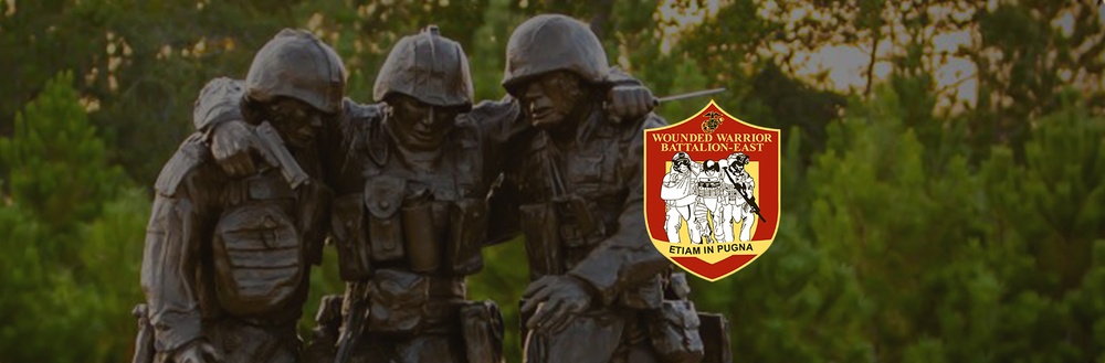 Wounded Warrior Battalion - East Hero Banner Statue