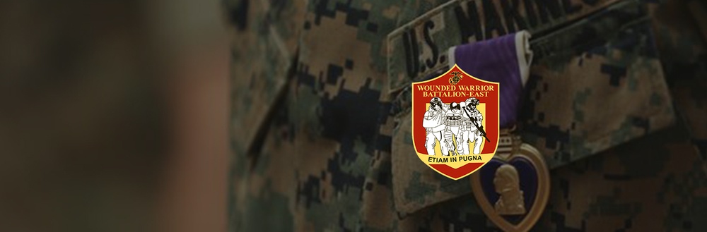 Wounded Warrior Battalion - East Hero Banner Purple Heart