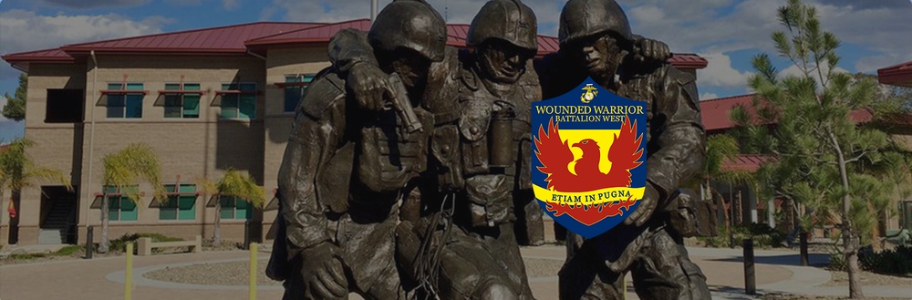 Wounded Warrior Battalion - West Hero Banner Statue