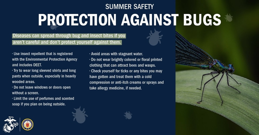 Summer Safety: Protection Against Bugs