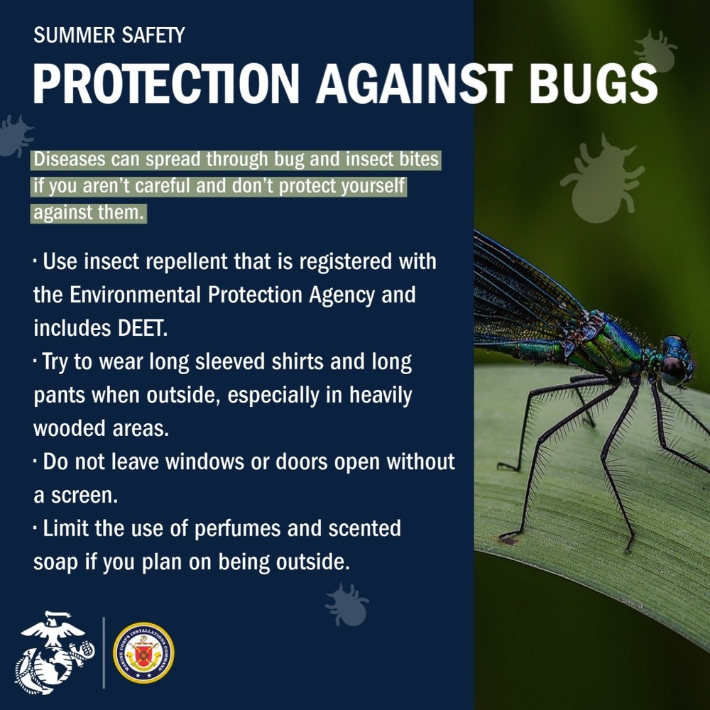 Summer Safety: Protection Against Bugs