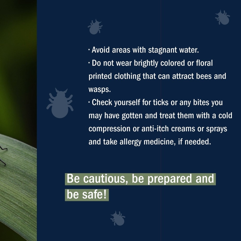 Summer Safety: Protection Against Bugs