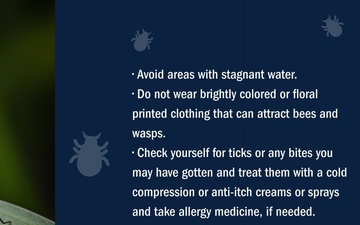 Summer Safety: Protection Against Bugs