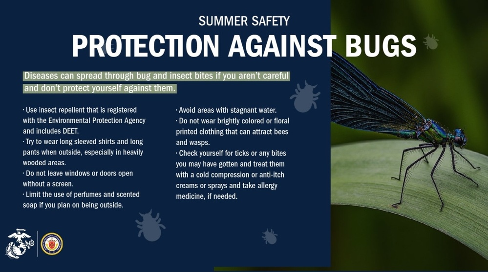 Summer Safety: Protection Against Bugs