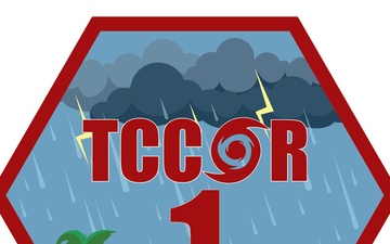 TCCOR level logos