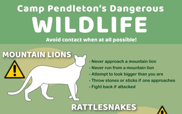 Camp Pendleton&amp;#39;s Dangerous Wildlife