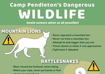 Camp Pendleton&amp;#39;s Dangerous Wildlife