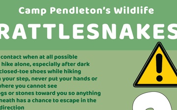 Camp Pendleton&amp;#39;s Wildlife: Rattlesnakes