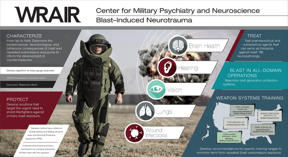 Blast-Induced Neurotrauma Display