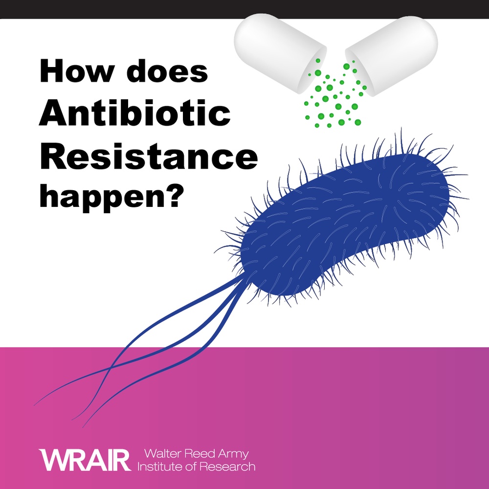 Antibiotic Resistance - Carousel Graphic