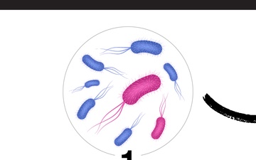 Antibiotic Resistance - Carousel Graphic