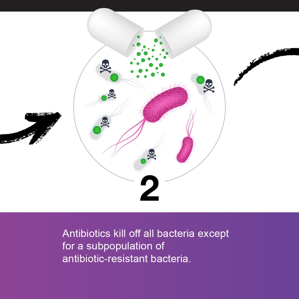 Antibiotic Resistance - Carousel Graphic