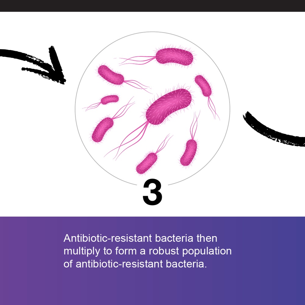 Antibiotic Resistance - Carousel Graphic