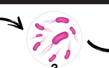 Antibiotic Resistance - Carousel Graphic