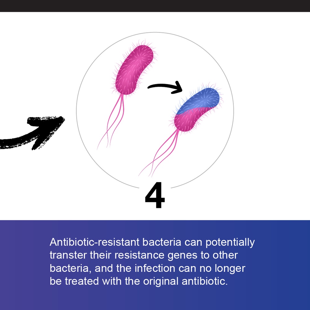 Antibiotic Resistance - Carousel Graphic