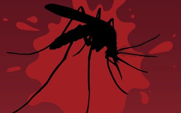 World Mosquito Day 2021