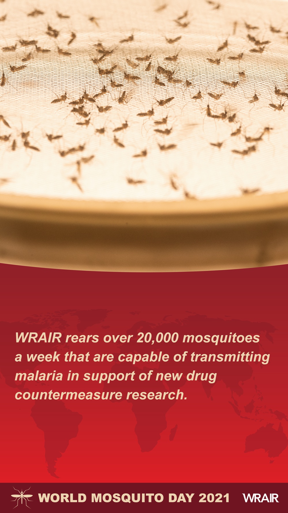 World Mosquito Day 2021