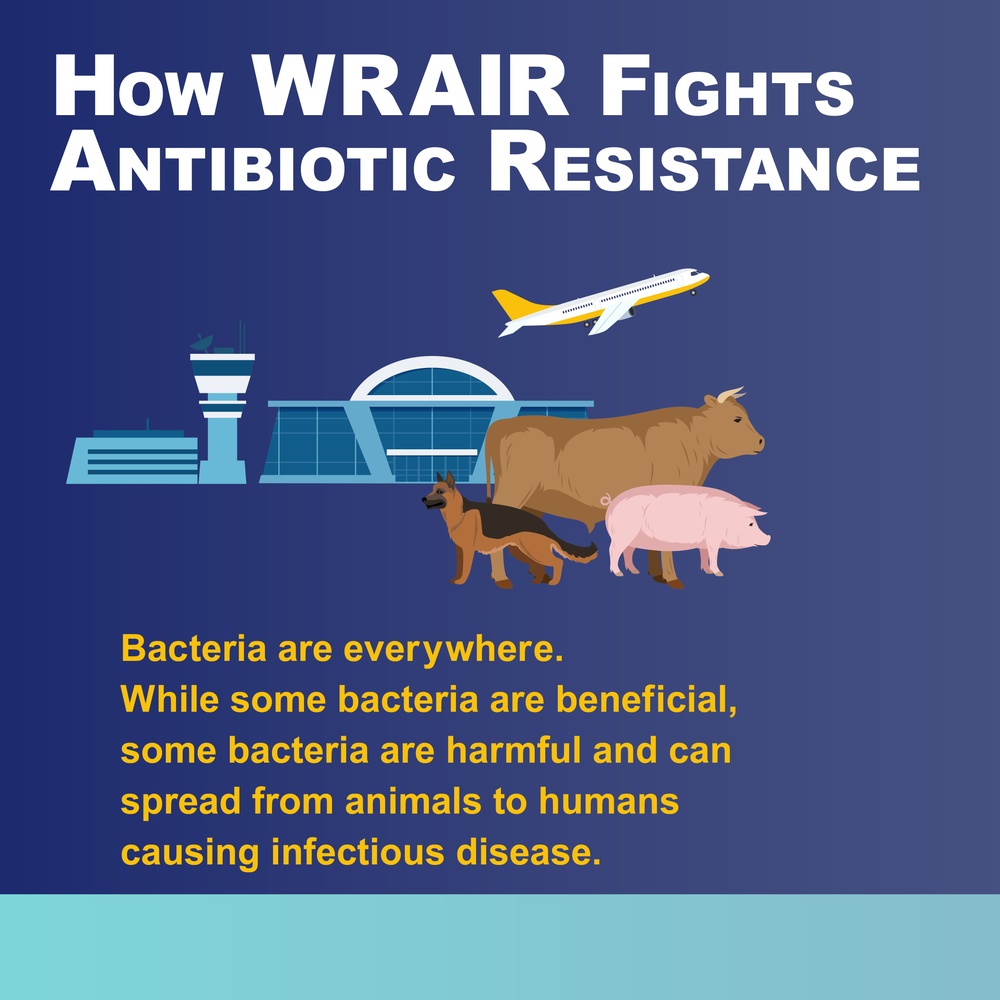 How WRAIR Fights Antibiotic Resistance