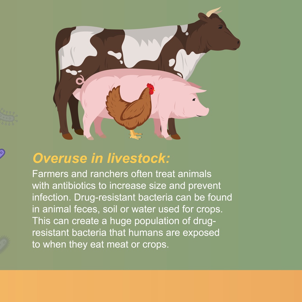 Causes of Antibiotic Resistance