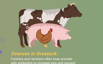 Causes of Antibiotic Resistance