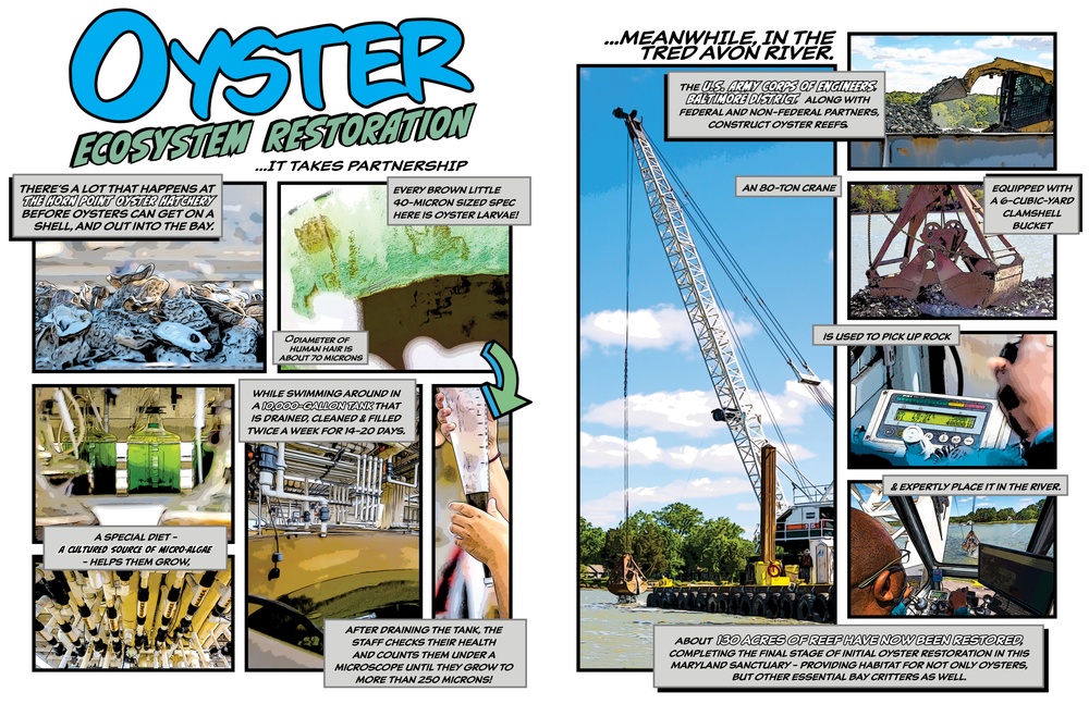 Oyster Ecosystem Restoration