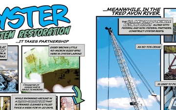Oyster Ecosystem Restoration